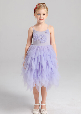 Toddlers Girls Dress Daily Wear Children Clothing Princess Flower Girl Dress 